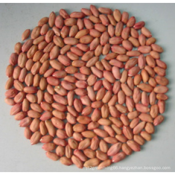 High Quality/New Crop Peanut Kernals